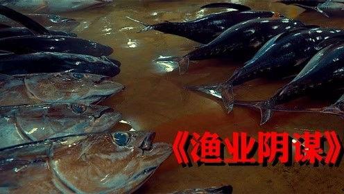 渔业阴谋,暗流涌动的海洋秘密